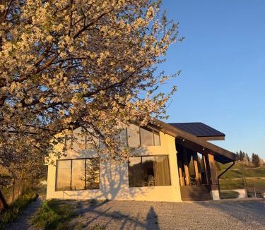 Sadova Cabin | Sadova Loft View