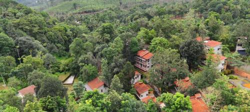 Kunnathidavaka Resort | Safari Hills Vythiri