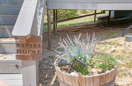 Dripping Springs Cabin | Safari Treehouse w/Fire Pit, Grill & Seasonal Creek Views in Dripping Springs