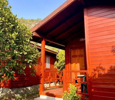 Cirali Bed & Breakfast | Safir Pansiyon