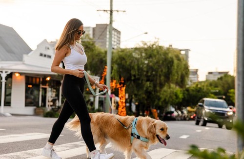 Fortitude Valley Hotel | Sage Hotel James Street