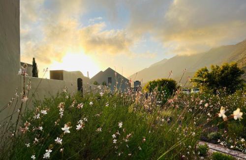 Montagu House | Sage