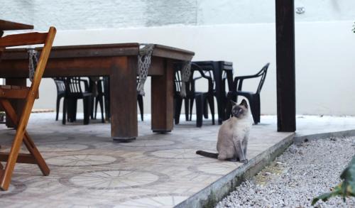 Campeche Hostel | Sagui Hostel