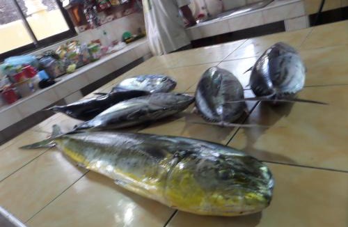San Isidro Hotel | Sailfishbay
