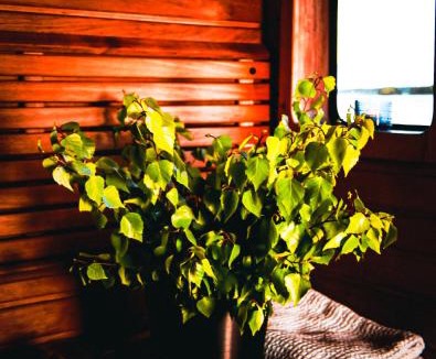 Savonlinna Boat Rental | Saimaa Experience