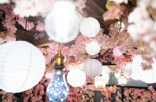 Minami Ward Apartment | SAKURA House