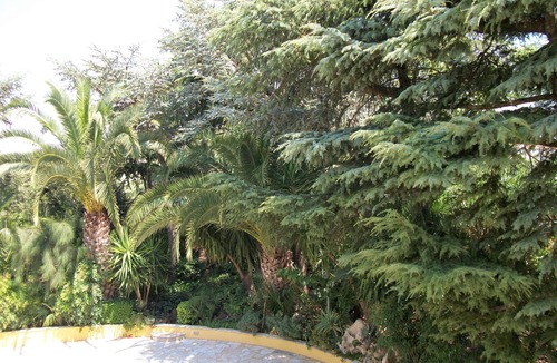 Corigliano D'Otranto Villa | Salento-Gallipoli-Otranto-Villa Mediterre-OFFER Ognissanti Bridge-10% Discount