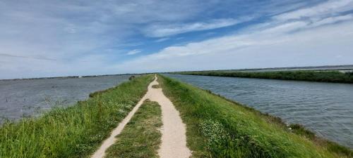Comacchio House | Salicornia Rooms