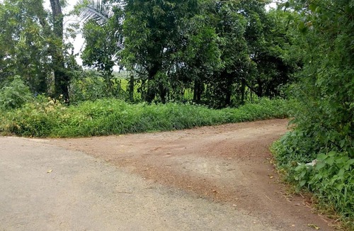 Saligao House | Saligao Farm Cottages