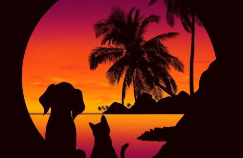 Bawomataluo Hostel | Salty Dog Hostel