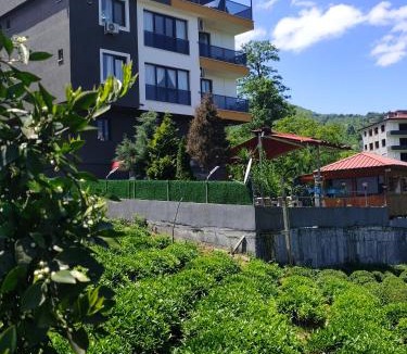 Rize Villa | Sama house