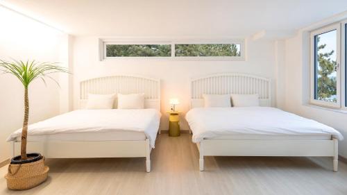 Samcheok House | Samcheok Migaloo Pool Villa Pension