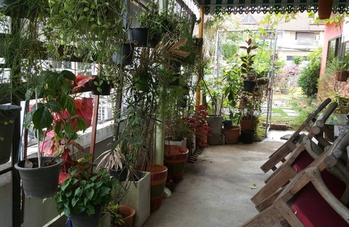 Mae Hia Bed & Breakfast | Sanctuary cooler enclave ensuite ^ patio room A homestay sensorycation