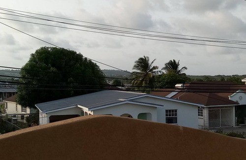 Mangrove Apartment | Sand Dollar Vacation Apartment with rental car available at preferred rates