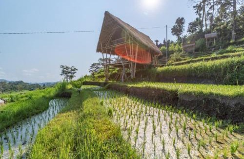 Wisma Kerta Villa | Sandag Hill