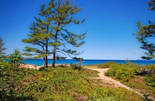 Glen Arbor House | Sandpiper 1