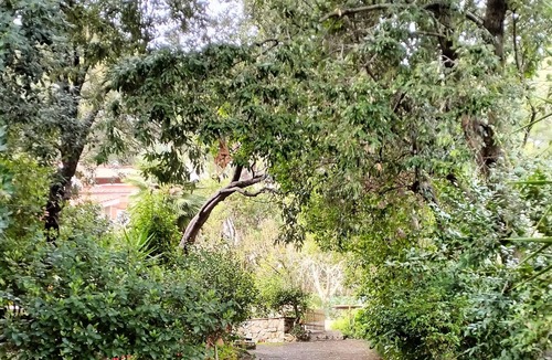 Quercianella House | Sandra and Lucia's home in an oasis of peace