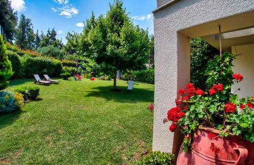 Sane Villa | Sani villa Lili