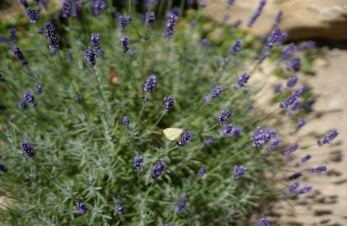 Rouffach House | Santolina Etrusca Bed and Breakfast, Sauna, Hammam, Jacuzzi