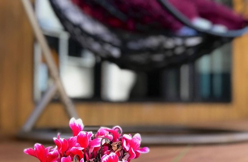 Onehunga Apartment | Santos Tiny House: Cozy Retreat under Auckland's Stars!