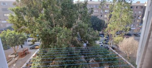 Nasr City House | Sara's room