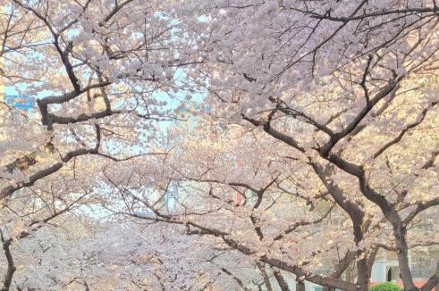 Suyeong-Gu Apartment | SarangChae