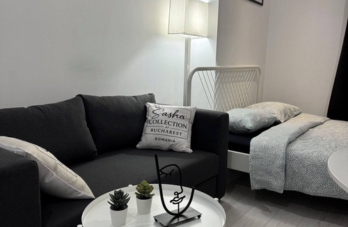 Sector 4 Apartment | Sasha Collection at Rin Grand Residence
