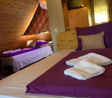 Sashalom Hotel | Sashalom Hotel