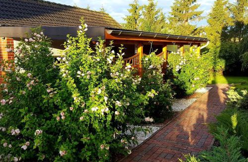 Satow Apartment | Satow Gartenwohnung