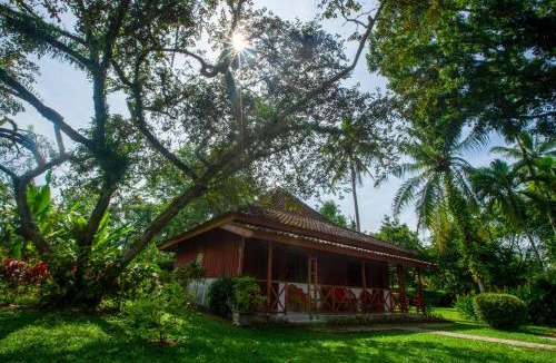 Labuhan Ratu Cabin | Satwa Elephant Ecolodge