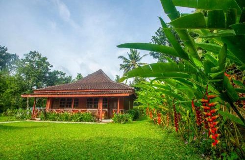 Labuhan Ratu Cabin | Satwa Elephant Ecolodge