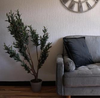 Sauchie House | Sauchie House