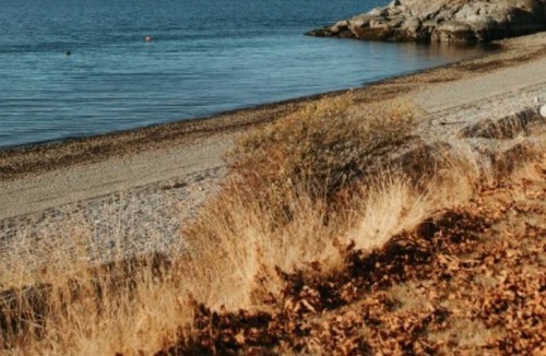 Sliammon Cottage | Savary Island Escape