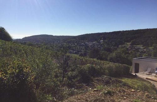 Savigny-les-Beaune Villa | Savigny view