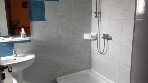 Tulcea House | SC Pati-Com FLOREX SRL - CASA ADELA