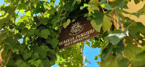 Cerchio House | Scaccia pensieri