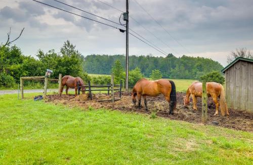 Cowanesque House | Scenic Deck & Grill: Middlebury Center Retreat!