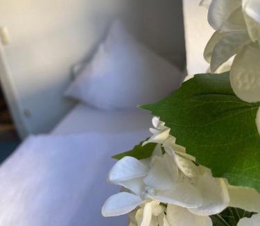 Niedermendig Apartment | Schicke Monteurunterkunft in Mendig mit drei Wohneinheiten