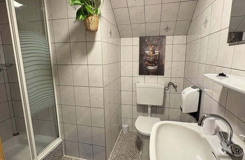 Aich House | Schladming Dachstein group house for up to 35 people Ski IN/Out in a dream location!