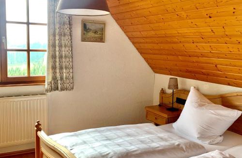 Oberwolfach Apartment | Schmalzerhisli