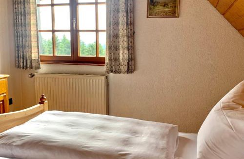 Oberwolfach Apartment | Schmalzerhisli