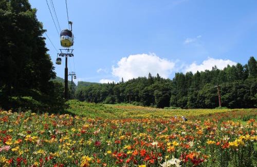 Kitaazumi-gun Hotel | Schole Hakuba