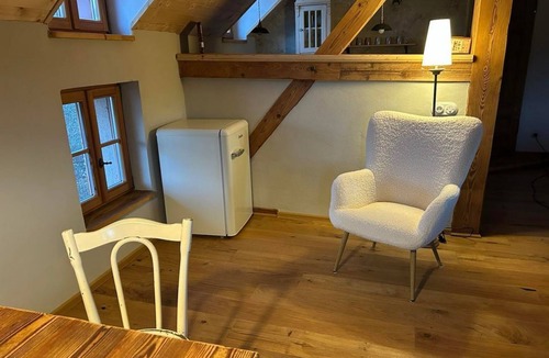 Oberotterbach Apartment | Schustermühle Vacation Rental - Apartment, Shower, Toilet, Living/Sleeping Area