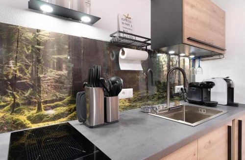 Illenau Apartment | Schwarzwald Chalet Achern