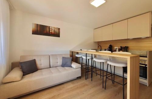 Hinterzarten Apartment | Schwarzwald Zartenbach Apartments