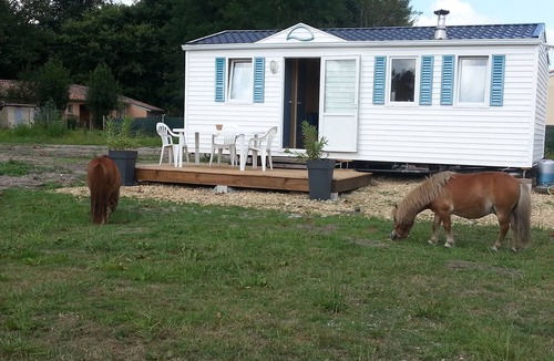 Hostens House | Scooby" mobile home in the heart of the pony club