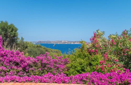 Porto Rafael Villa | Scorpion House