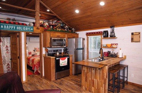 Cairo Cabin | Scrooge: Cozy tiny cabin on Christmas Tree Farm in South Georgia.