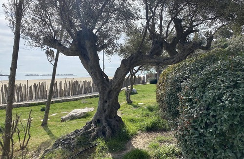 Porto d'Ascoli Apartment | Sea Front Apartment