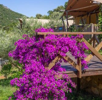 Jaz Other | Sea Glamping